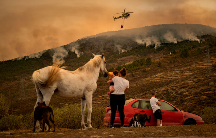 Природный пожар на испанском острове Тенерифе выжег более 3,2 тыс. га