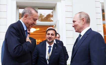 «Зерновая сделка»: Эрдоган привезет в Сочи секретное предложение для Путина?