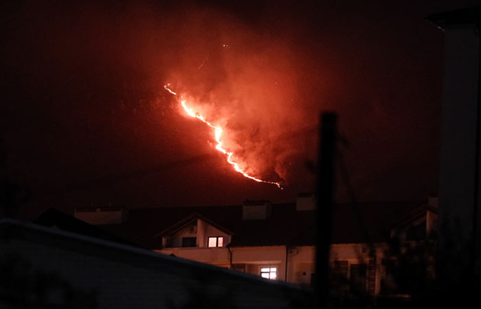 Лесной пожар в Геленджике не дошел до "Сафари-парка"