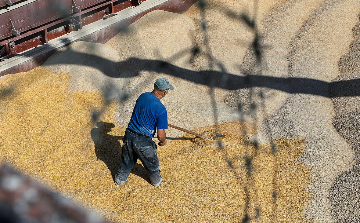В Турции раскрыли предложения ООН по возобновлению зерновой сделки