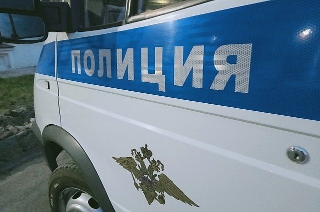 МВД: во Владимирской области задержали мужчину, сбившего сотрудника ППС