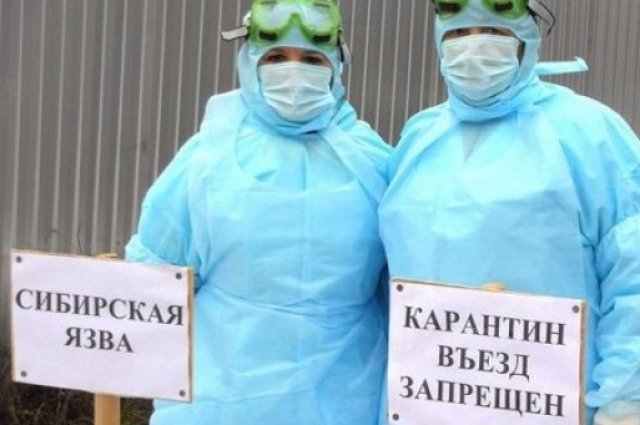 Два новых очага сибирской язвы выявили в Воронежской области