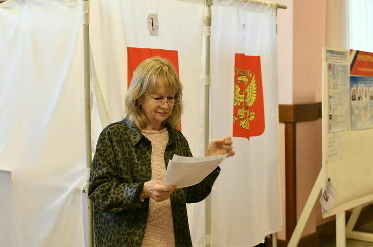 Высоцкий: Выборы в ДНР проходят в штатном режиме
