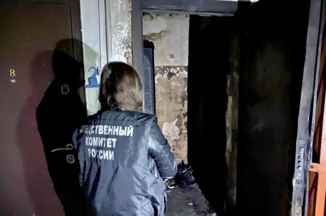 Трое детей погибли при пожаре в селе Дергачи Саратовской области