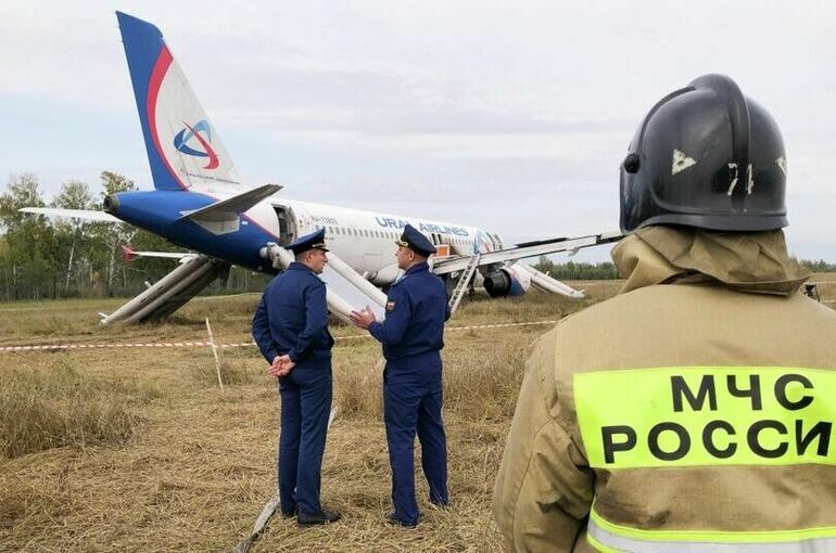 Пассажирам севшего в поле самолета выплатят по 100 тысяч рублей