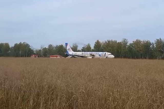 Появилось первое фото экипажа, посадившего самолет в поле под Новосибирском