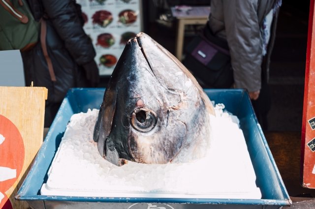 Число исследований сахалинской рыбы выросло в 1,5 раза