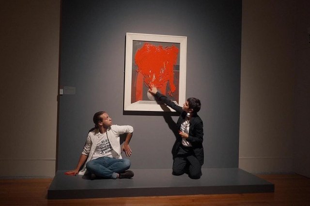 Vozpopuli: экоактивисты облили красной краской картину Пикассо в Лиссабоне