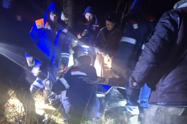 Добровольцы нашли тело женщины, пропавшей неделю назад в лесу в Ленобласти