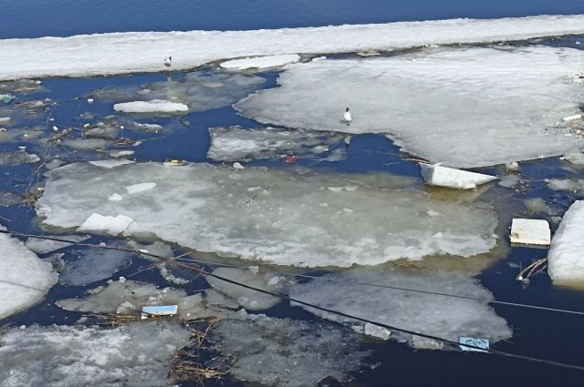 Новосибирские спасатели вытащили женщину из провалившейся под лед машины