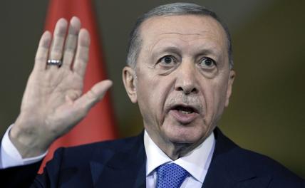Эрдоган готов принести в жертву новую «Флотилию свободы»