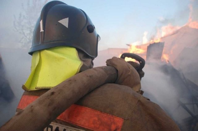 В Петропавловске-Камчатском пожарный спас собаку спустя 20 минут реанимации