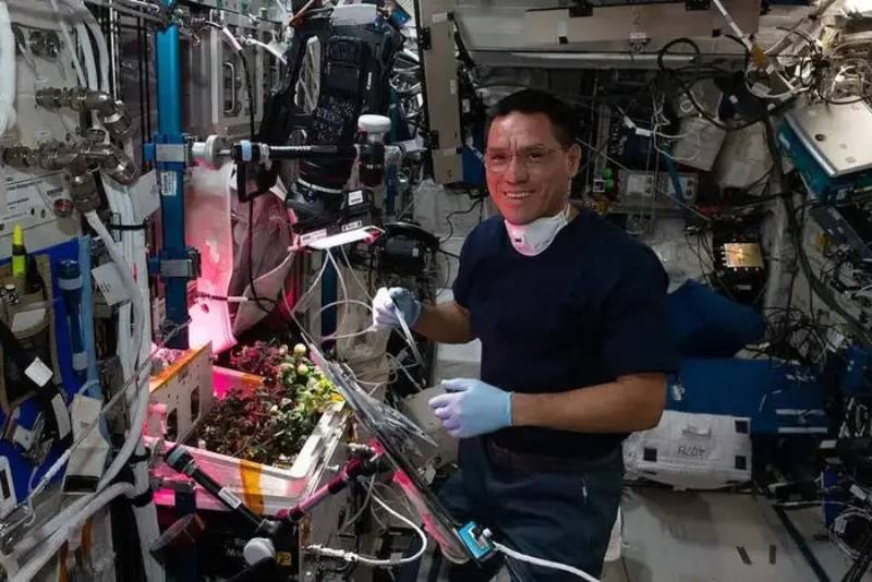 «Мы нашли помидор»: на МКС обнаружили потерянный 8 месяцев назад овощ, астронавт Рубио оправдан