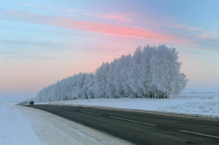 Начало декабря в Москве оказалось на 5,2 градуса ниже нормы