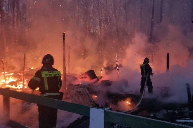 Восемь лошадей погибли при пожаре в одной из московских конюшен