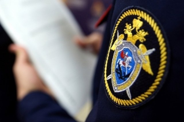 СК направил в МВД еще семь дел о лишении гражданства РФ за преступления