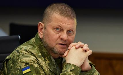 Владимир Жарихин: Сведения из штаба Залужного Россия может получать и без «жучков»