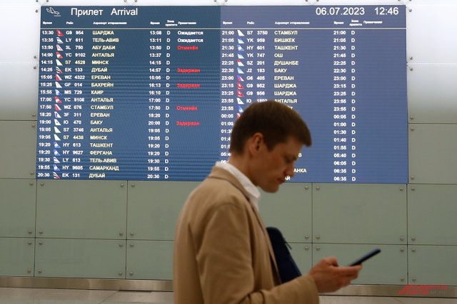 Росавиация сообщила о 38 задержанных самолетах в московских аэропортах