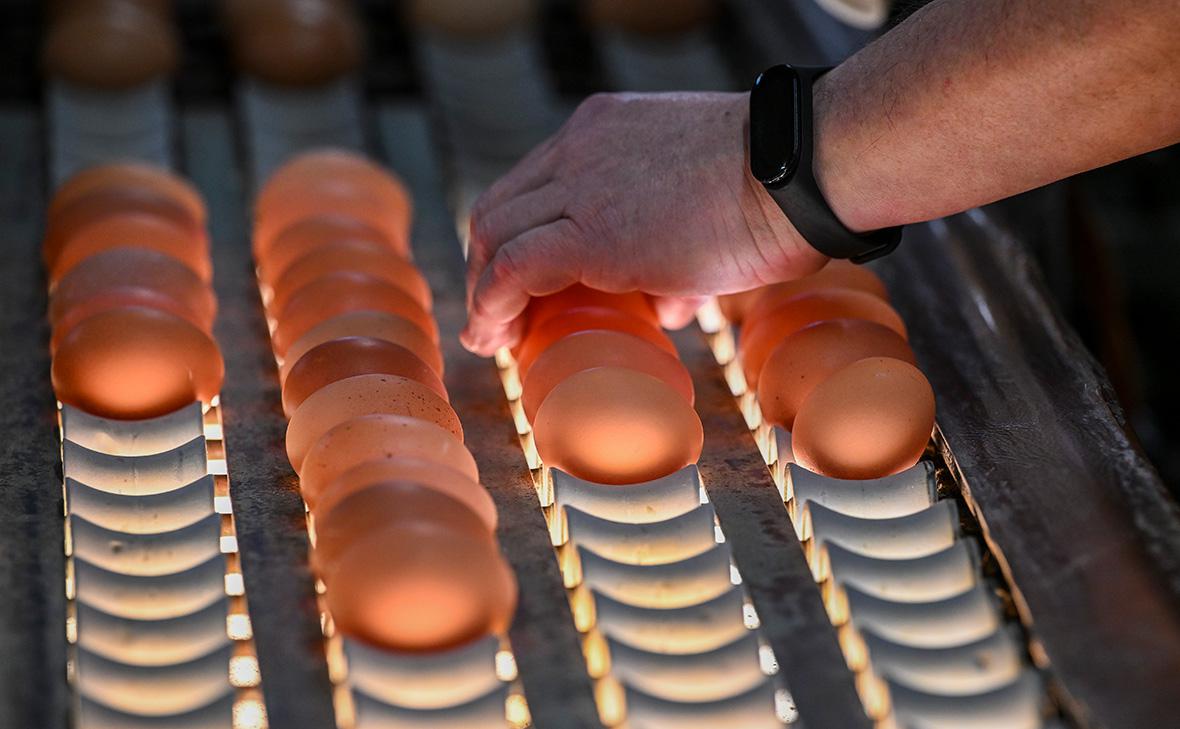 ФАС заявила, что нашла новые случаи повышения цен на яйца