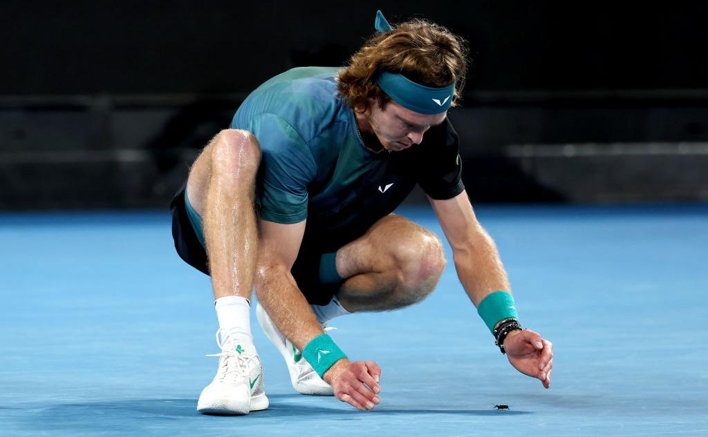 Как Рублев ловил жука на корте во время матча Australian Open: видео