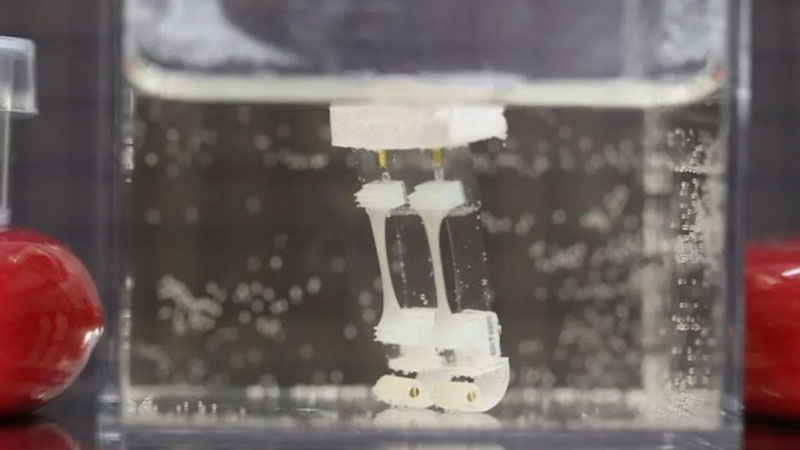 Японцы создали двуногого робота с приводом из живой мышечной ткани