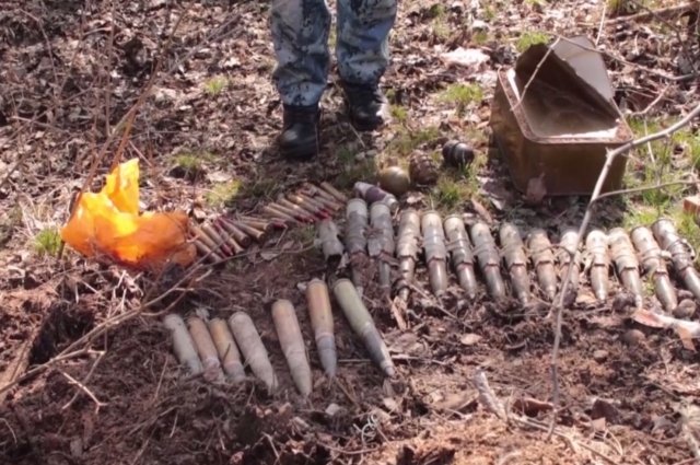 В Запорожской области полицейские нашли тайник со снарядами и гранатами