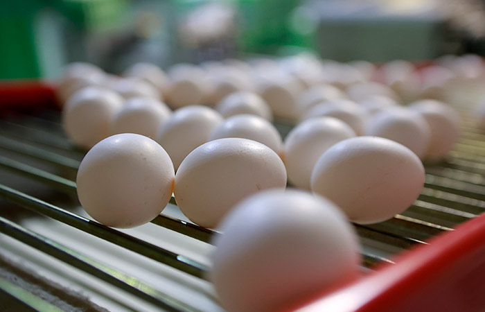 Снижение цен на яйца в России с 27 февраля по 4 марта ускорилось до 0,7%