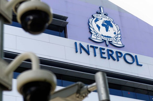 Интерпол готов помочь России в расследовании теракта в «Крокусе»
