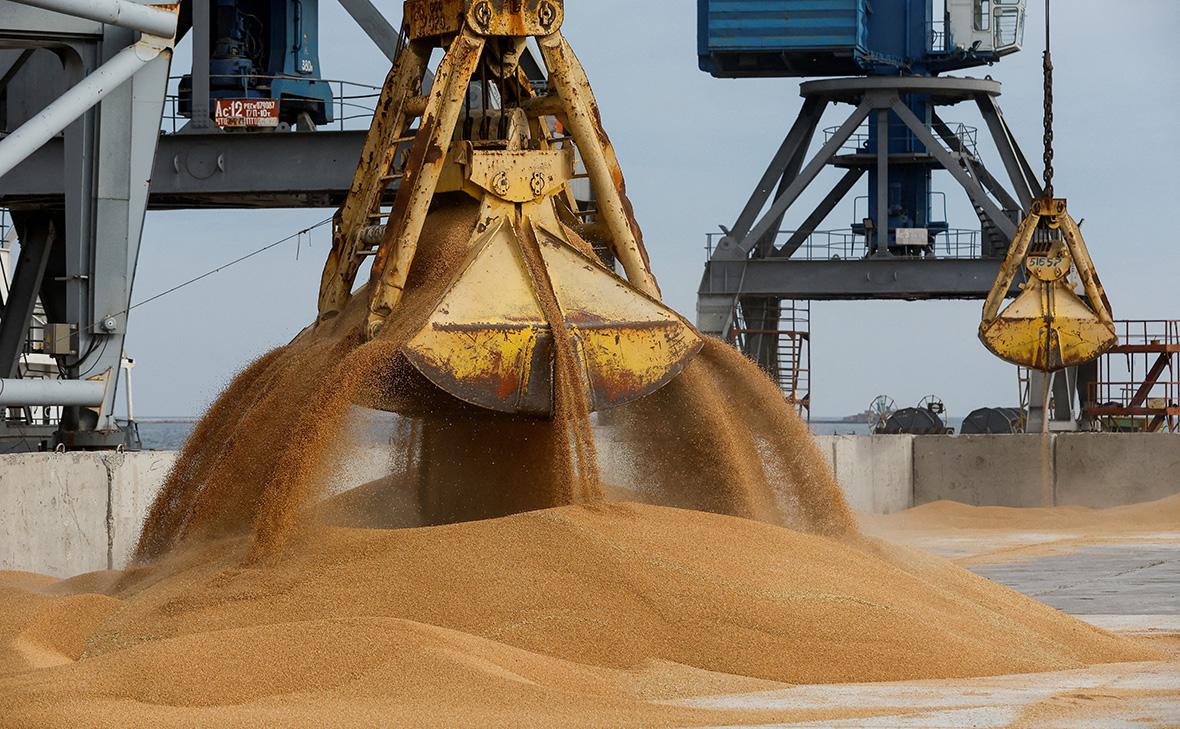 Франция и Польша выступили за ужесточение импорта зерна с Украины