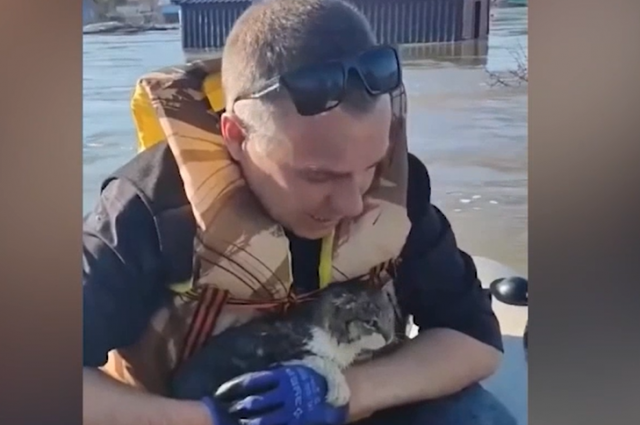 Двое мужчин спасли кошку из зоны подтопления в Новотроицке
