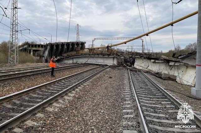 СК возбудил дело после обрушения Панинского моста в Смоленской области