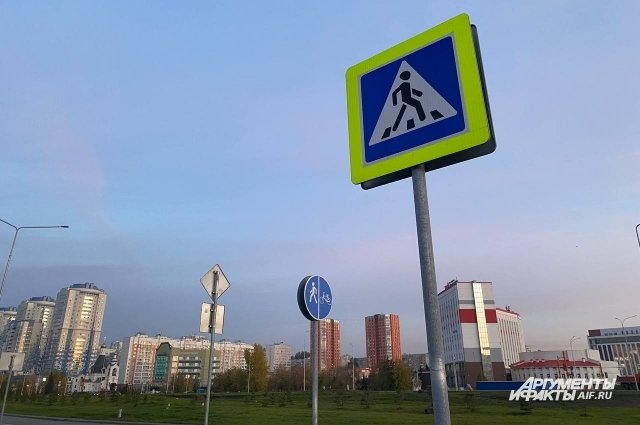 В Волгограде водитель иномарки сбил четверых детей на пешеходном переходе