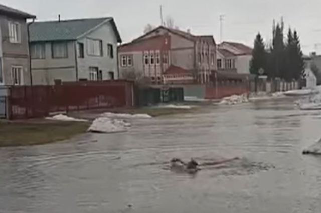 Глава МЧС России не исключил второй волны паводков на Алтае