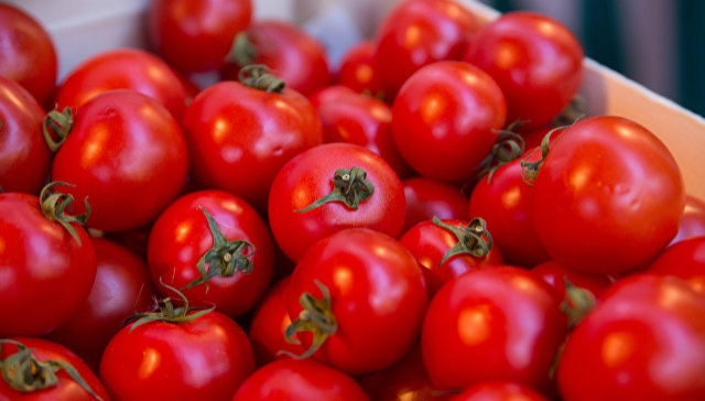 В Турции выращивают кольраби вместо томатов из-за российского эмбарго