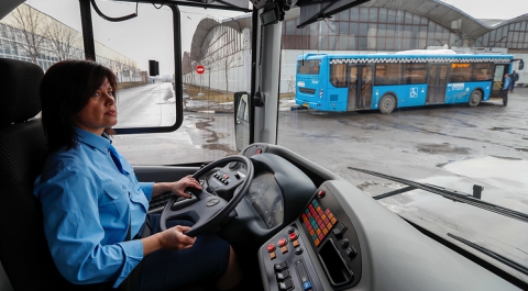НИУ ВШЭ: самой массовой профессией в России является водитель