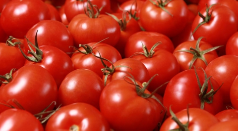 "Коммерсант" узнал о схеме закупок запрещенных турецких помидоров