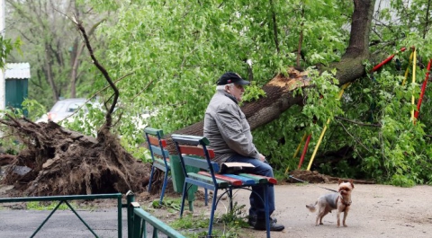В результате урагана в Москве серьезно пострадали 70 человек