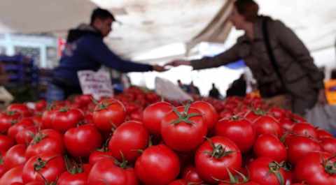 Турция готовится к ответу в "томатной войне"