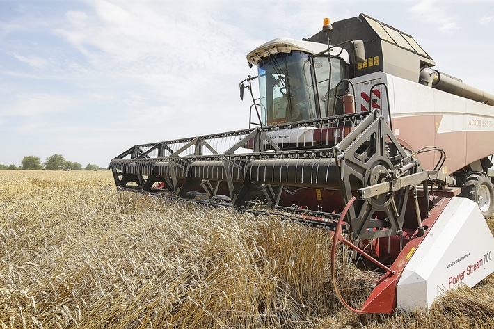 В Ростовской области установлен всероссийский рекорд по урожаю ранних зерновых