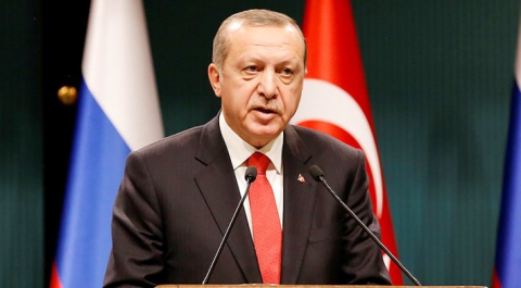 Эрдоган: Турция не признает присоединение Крыма к России