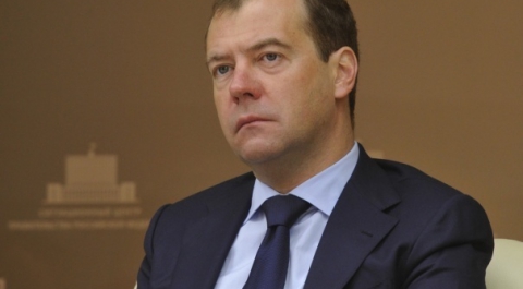 Медведев: десять регионов получат субсидии для многодетных матерей