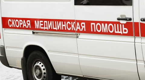 Пять человек стали жертвами ДТП с микроавтобусом в Чувашской Республике
