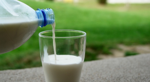 Россия отстает примерно на 100 кг по показателям потребления молока от стран Европы