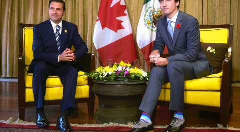 "Веселые носочки" премьера Канады свели с ума журналисток на АТЭС
