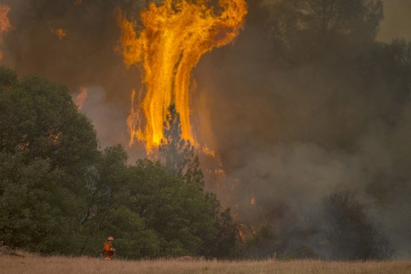 Пожар в Калифорнии стал причиной гибели 70-летней женщины