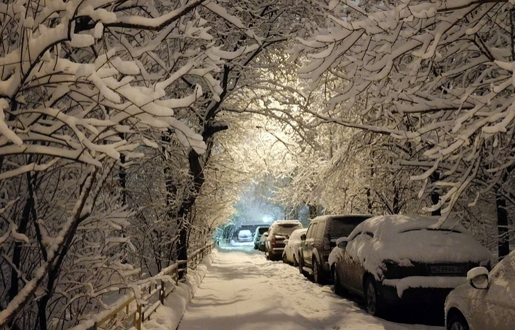 В Москве из-за сильного снегопада погиб человек
