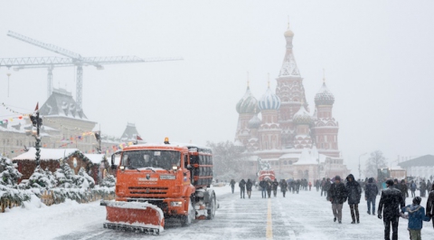 Московский снегопад повалил более 2000 деревьев