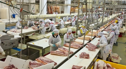 В России за 17 лет производство мясной продукции выросло в 6 раз