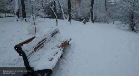 Стало известно, сколько продлится воскресный снегопад в Москве