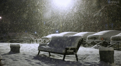 Рабочий день во Владивостоке могут сократить из-за сильного снегопада
